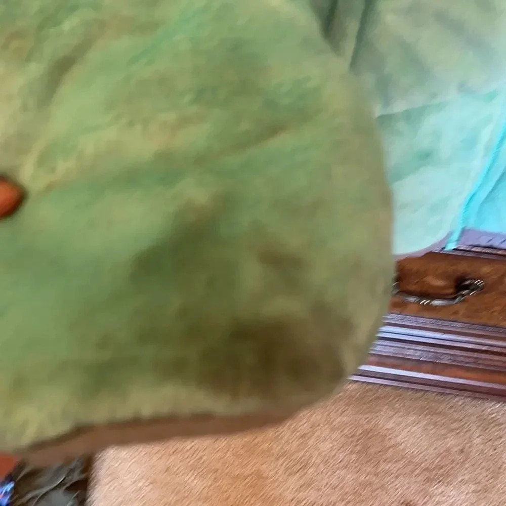 THE North Face Kids Green Puffy Reversible Jacket - Picture 4 of 16